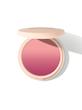 رژگونه پودری مات شیگلم (Sheglam Lightweight Matte Blush)