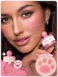 رژگونه پودری پنجه گربه ای شیگلم SHEGLAM 