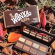 پالت سایه چشم پودری ۸ رنگ شیگلم کالکشن ویلی ونکا (Wonka Bar)