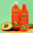 شامپو مو‌های فر کنتو مدل آووکادو Cantu Avocado Hydrating Shampoo حجم 400 میل