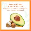 شامپو مو‌های فر کنتو مدل آووکادو Cantu Avocado Hydrating Shampoo حجم 400 میل