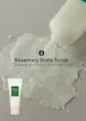 ست مسافرتی مراقبت از مو 4 تکه رزماری آروماتیکا | Aromatica Rosemary Scalp Scaling Trial Kit