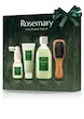 ست مسافرتی مراقبت از مو 4 تکه رزماری آروماتیکا | Aromatica Rosemary Scalp Scaling Trial Kit