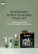 ست مسافرتی مراقبت از مو 4 تکه رزماری آروماتیکا | Aromatica Rosemary Scalp Scaling Trial Kit