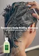 ست مسافرتی مراقبت از مو 4 تکه رزماری آروماتیکا | Aromatica Rosemary Scalp Scaling Trial Kit