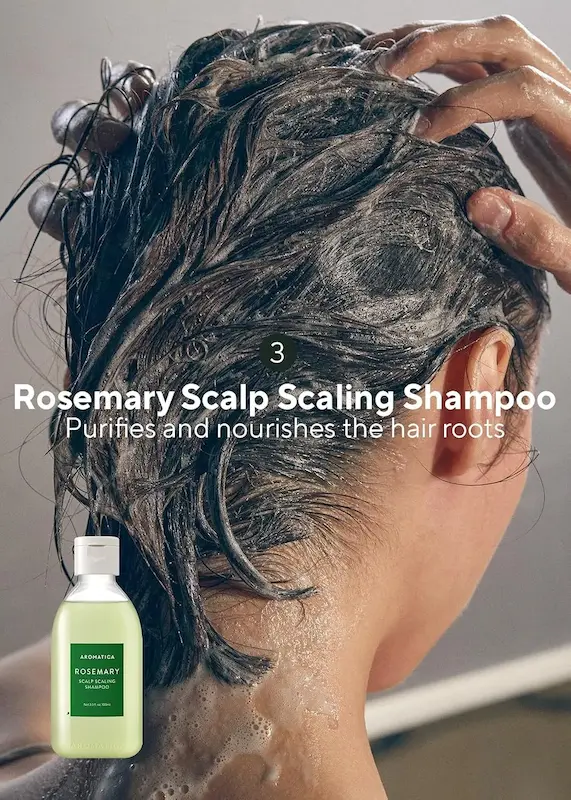 ست مسافرتی مراقبت از مو 4 تکه رزماری آروماتیکا | Aromatica Rosemary Scalp Scaling Trial Kit
