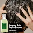 ست مسافرتی مراقبت از مو 4 تکه رزماری آروماتیکا | Aromatica Rosemary Scalp Scaling Trial Kit
