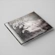 آلبوم Arcane rain fell از Draconian