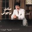 بهترین آثار صادق نوجوکی