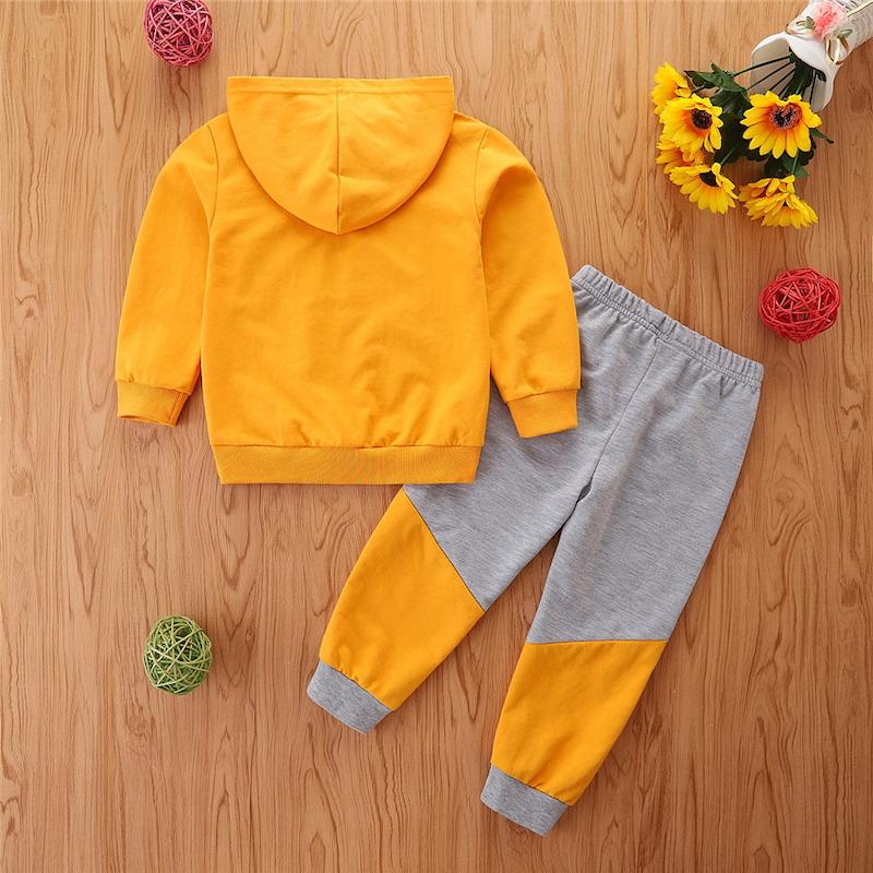 ست وارداتی پسرانه کد 8H047 از 3 تا 6 سال