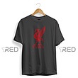 Liverpool: Logo - لیورپول