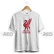Liverpool: Logo - لیورپول