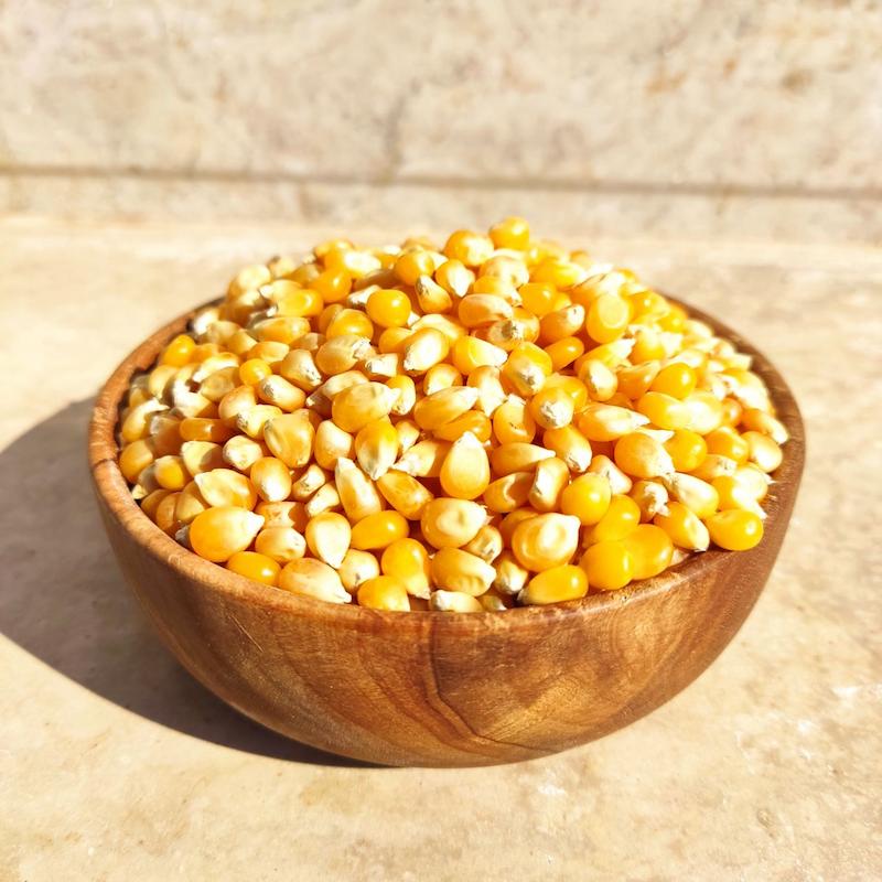 ذرت پاپ کورن