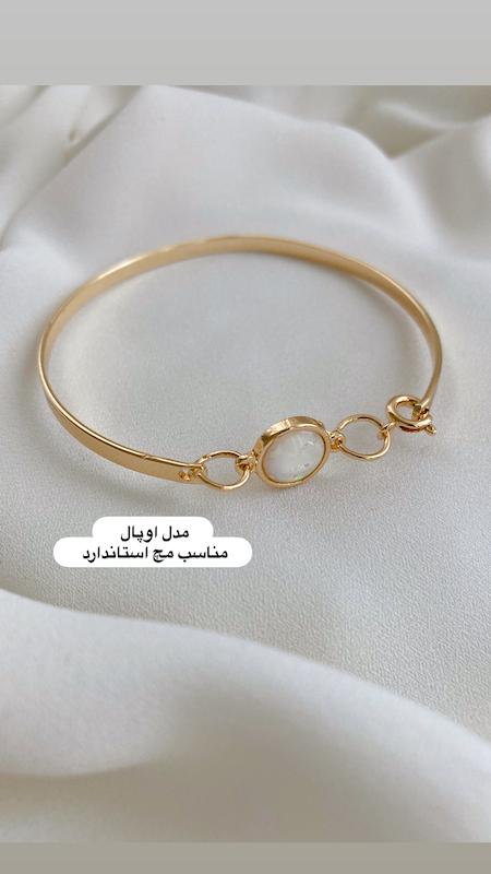 فستیوال دستبند ۱۹۸تومنی دو