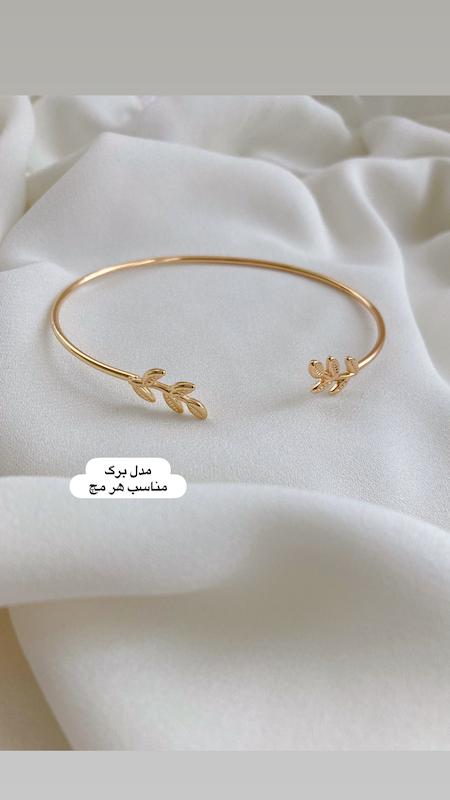 فستیوال دستبند ۱۹۸تومنی دو
