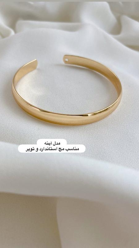 فستیوال دستبند ۱۹۸تومنی دو