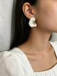 گوشواره های وایت