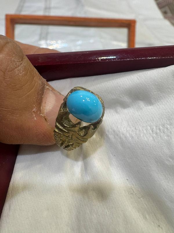 فیروزه پاک نیشابوری 