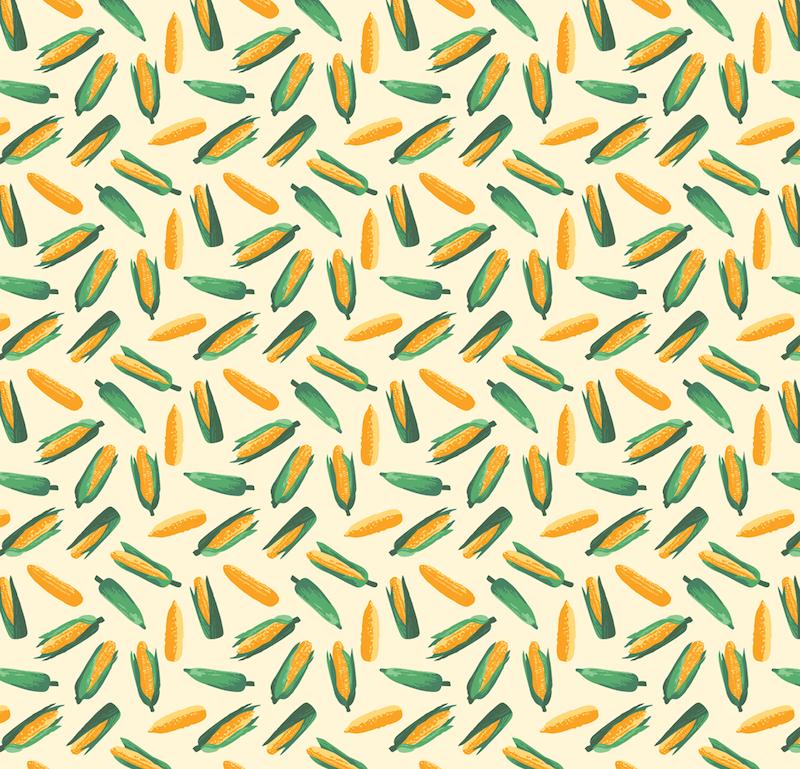 FO-019