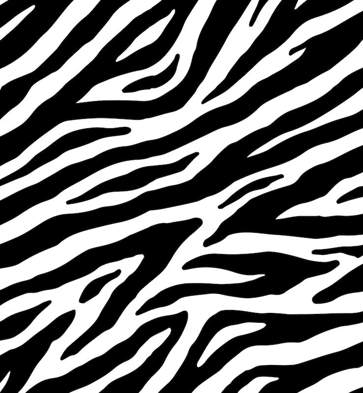 ZE-017