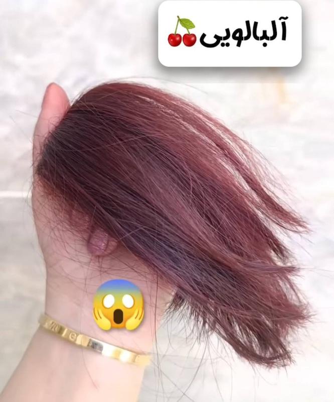 شامپو رنگ دکسی چری 🍒