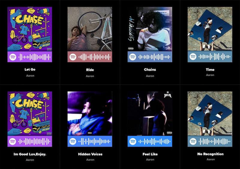 پک اسپاتیفای‌کارت ۸تایی Aaron