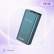 پاوربانک سلبریت مدل PB-08 با ظرفیت 20000 میلی آمپر ساعت