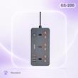 چند راهی برق گرین لاین مدل GS-200