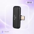 میکروفون بی سیم گرین لاین مدل GM-65