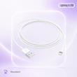 کابل شارژ USB به Lightning اپل به طول ۱ متر