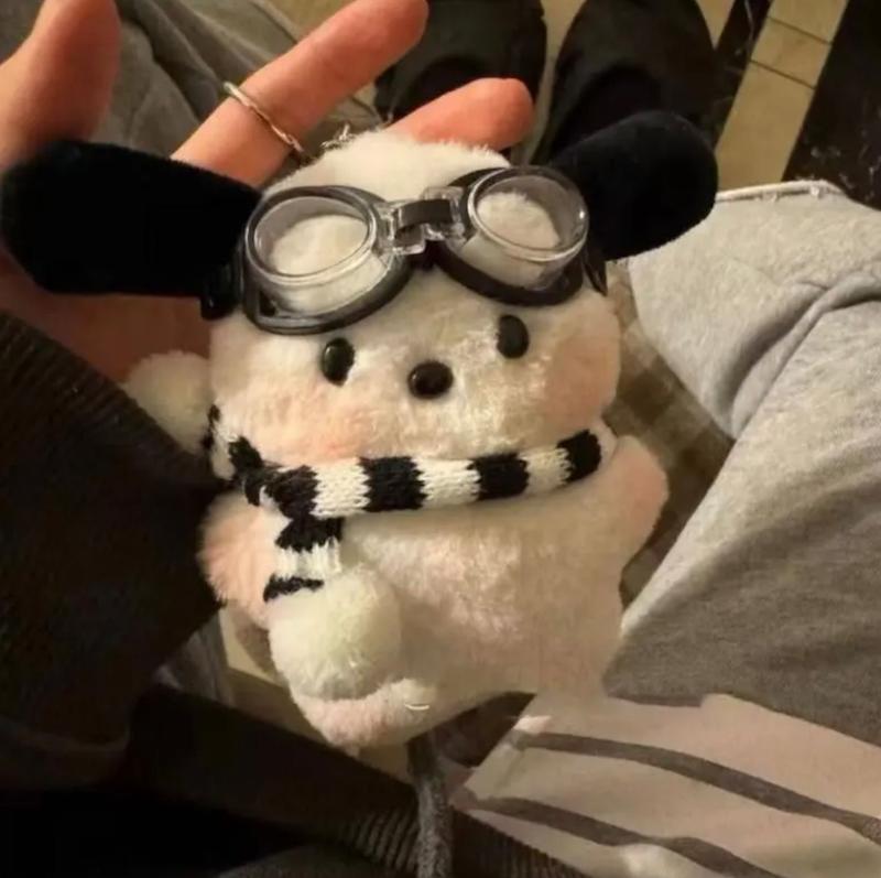 چارم پوچاکو 🐈