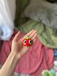 آویز فرنگیس منزوی🍓