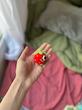 آویز فرنگیس منزوی🍓