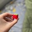 قورفرنگی🍓