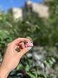 قورپری 🌸