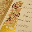 مجموعه نشانگر رویای پروانه ای