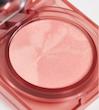 رژگونه وگان گلو ویش glowish cheeky vegan blush