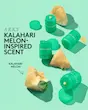 ماسک لب فنتی بیوتی فول سایز 15g
