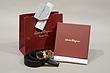 کمربند،فراگامو،کمربندفراگامو،کمربند فراگامو،Ferragamo