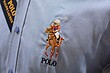 پیراهن مردانه پولو تدی آبی ،پیراهن مردانه polo teddy bear 