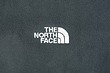 سوییشرت پلار مردانه نورث فیس طوسی (THE NORTH FACE)