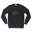 دورس مردانه لاگوست ، دورس مردانه lacoste ، دورس سخ نخ پنبه لاگوست ، دورس سه نخ پنبه LACOSTE