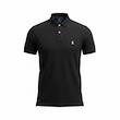 پولوشرت مردانه پولو ،پولوشرت کاروانی polo ، پولوشرت مردانه ralph lauren،پولوشرت پونی مردانه پولو،پولوشرت پونی