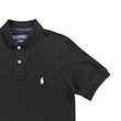 پولوشرت مردانه پولو ،پولوشرت کاروانی polo ، پولوشرت مردانه ralph lauren،پولوشرت پونی مردانه پولو،پولوشرت پونی