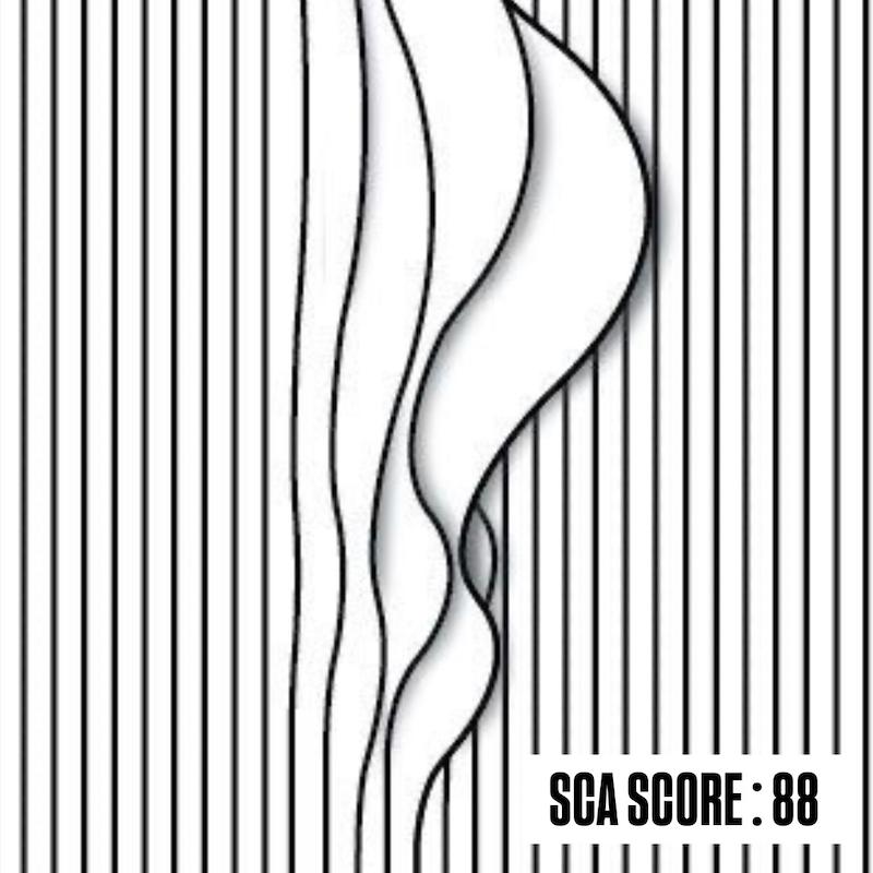 اتیوپی گیشا چاکا