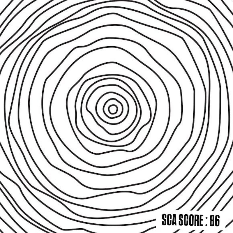 اتیوپی گوجی هامبلا