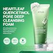 فوم شستشوی صورت آنوا مدل Heartleaf Quercetinol حجم ۱۵۰ میل