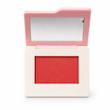 خرید رژگونه شیگلم دریم تاچ رنگ 209 Cherry Aura 
