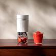 مخلوط کن Mijia Juicer Cup2 (MJZZB02PL)