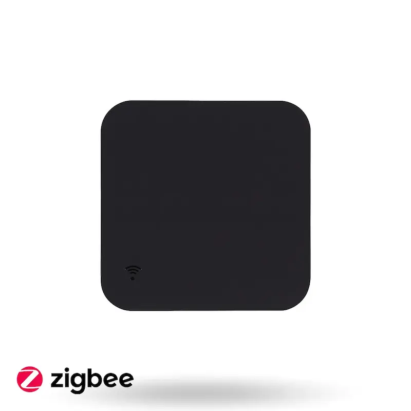 Frame-31.webp